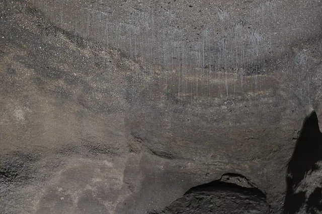 Glow worms up-close in shining light