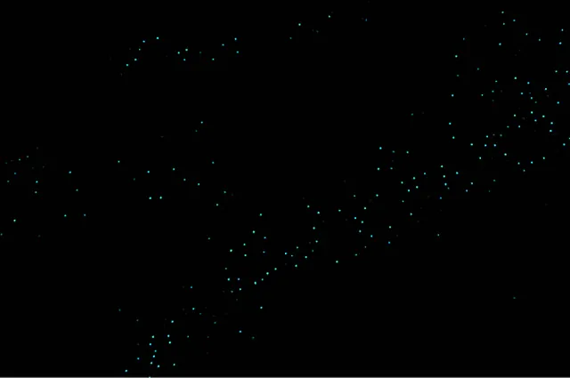 A mere glimpse of the start of the glow worm ceiling. The rest of it was out of this world (glow worms in the thousands!)