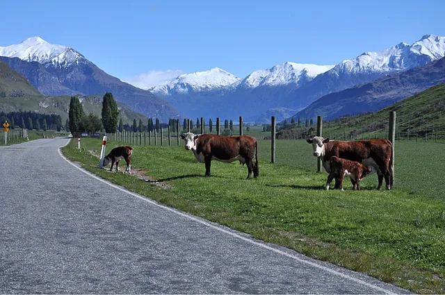 Backcountry National Park sharing with farmland... as it should be!!