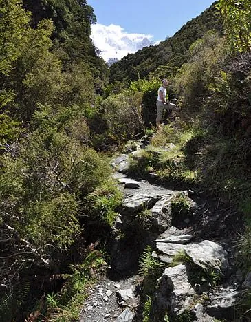 Steady going on the path upwards