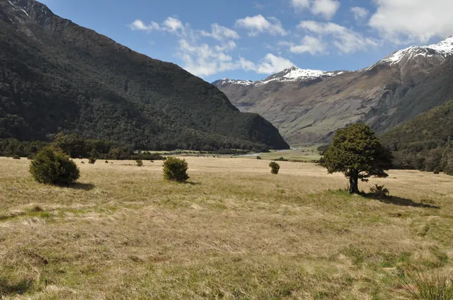 West Matukituki Valley — photograph 23