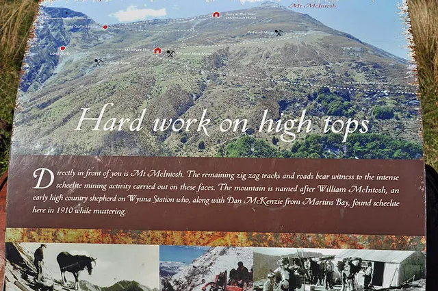Mount McIntosh Loop Track — photograph 15