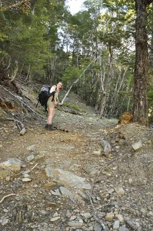 Steep track leading out from the river