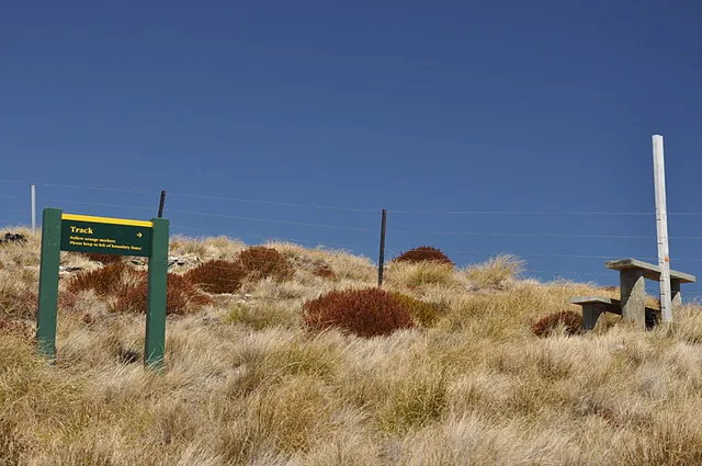 Strangely, we are directed off the 4x4 track and into a tussock field