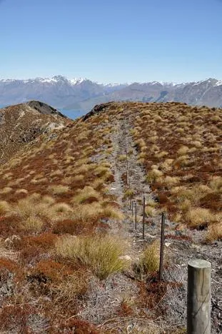 There is no real track as such from this point down. You just have to follow the fence-line. Strange??